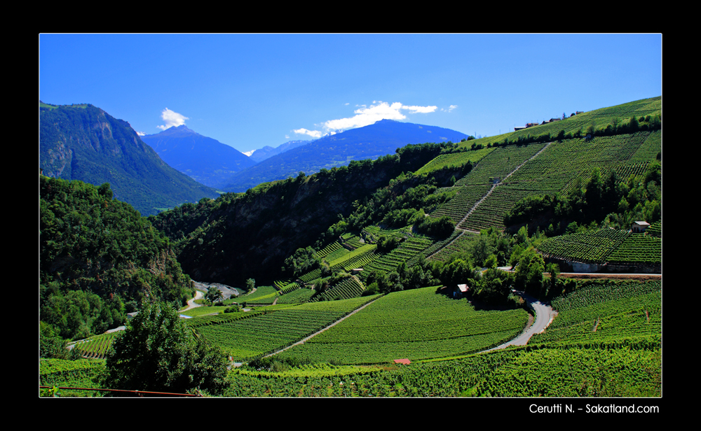 Bisse_Clavaux_Vigne1.jpg