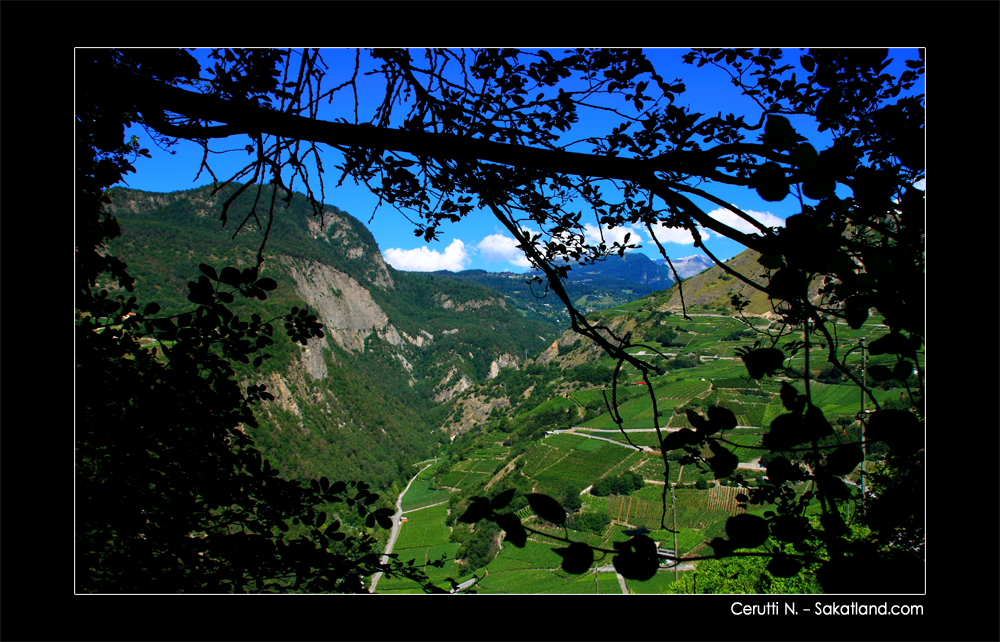 Bisse_Clavaux_Vigne2.jpg