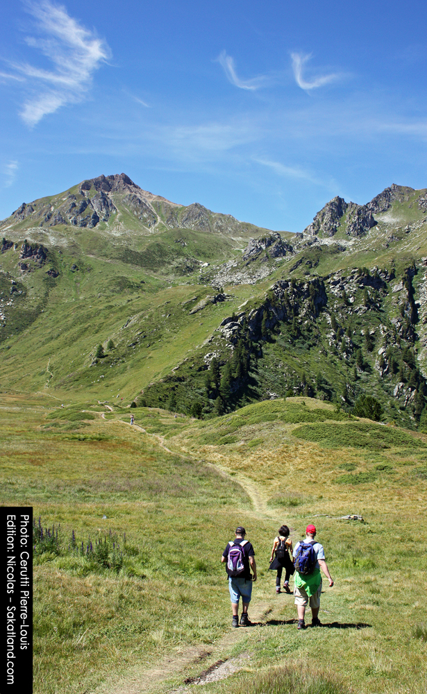 Vallon_Marche3.jpg