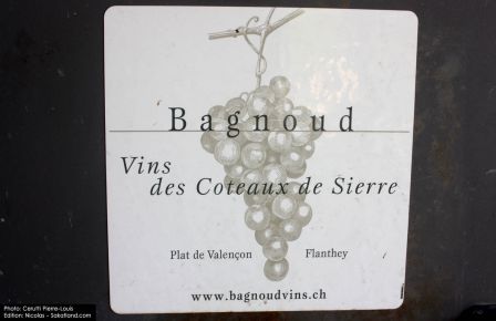 Bagnoud-Bagnoudvins.jpg