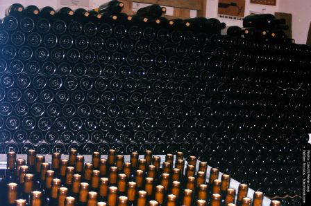 Bagnoud-Bouteilles1.jpg
