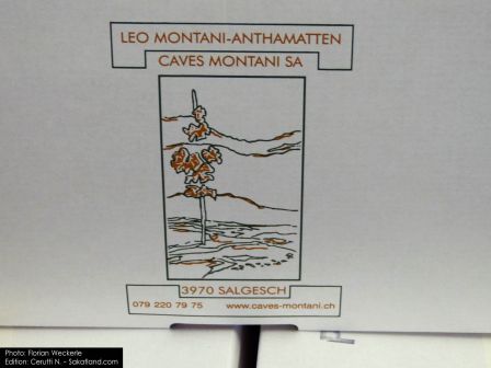 Montani-Cavesmontani_F.jpg