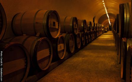 Rouvinez-Cave1.jpg