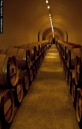 Rouvinez-Cave2.jpg