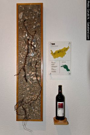 Rouvinez-Cave7.jpg