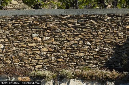 Mur1.jpg