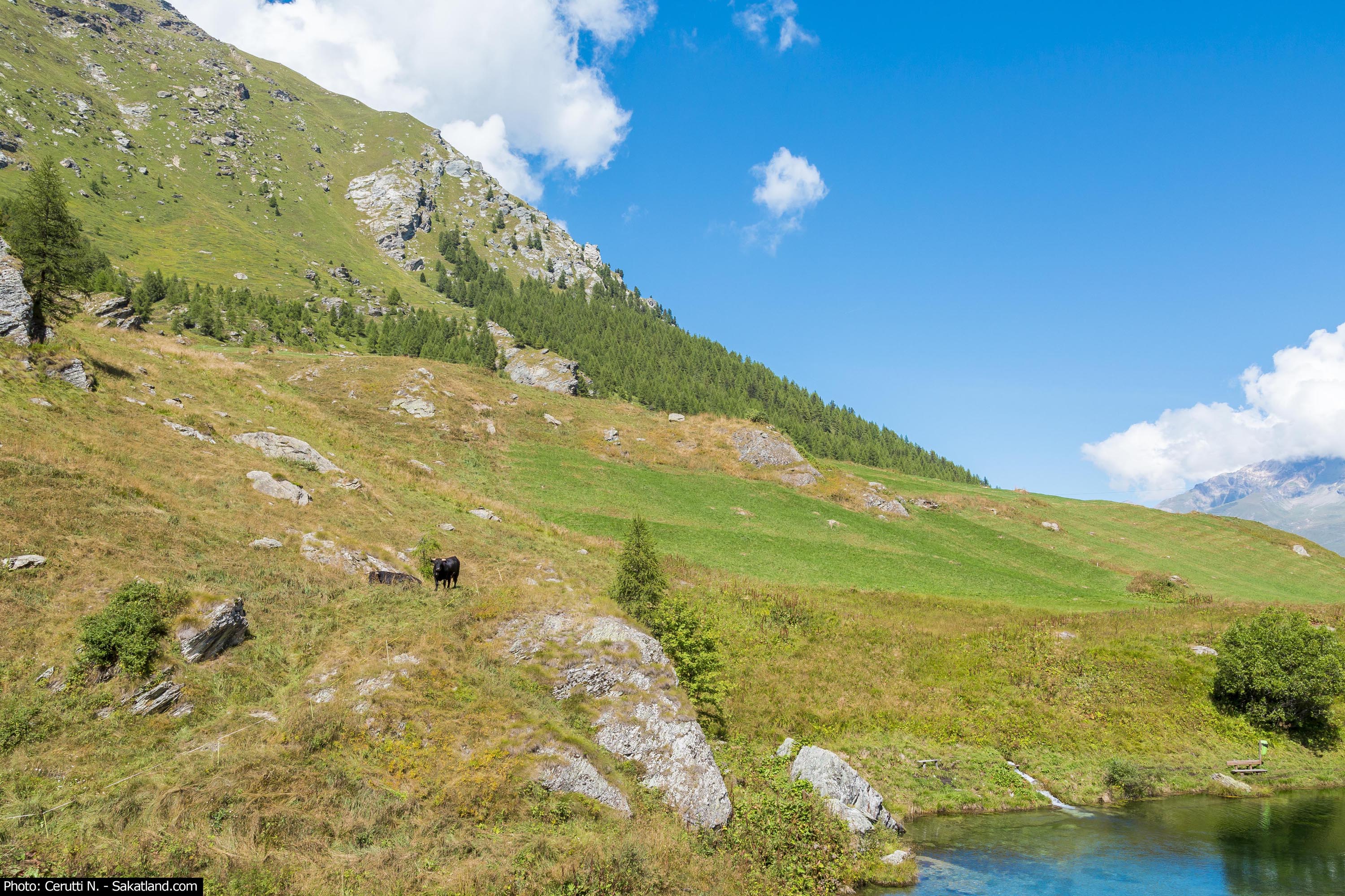Lac_Bleu_19.jpg