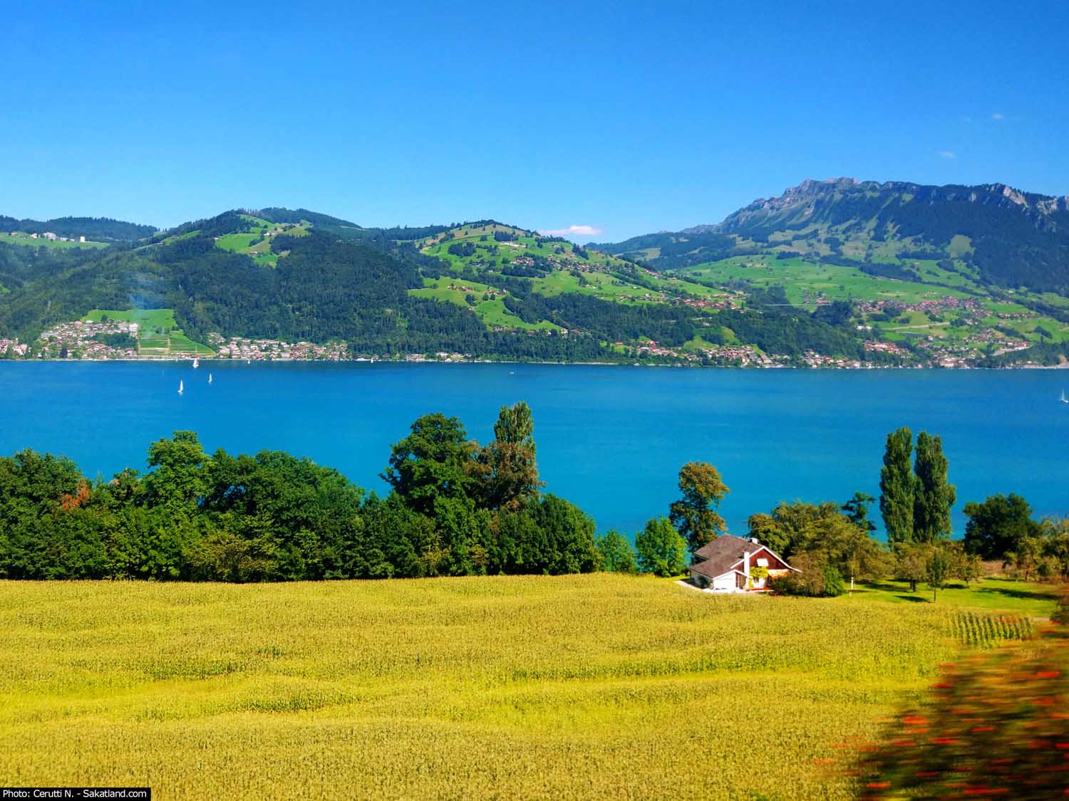 Lac_Thun_1.jpg