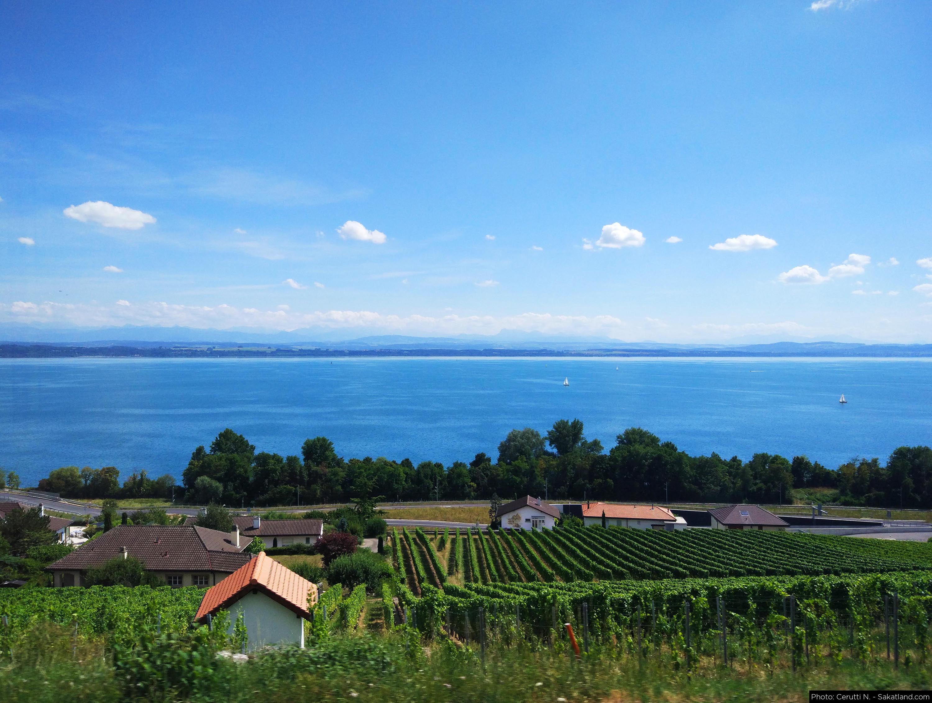 Neuchatel_3.jpg