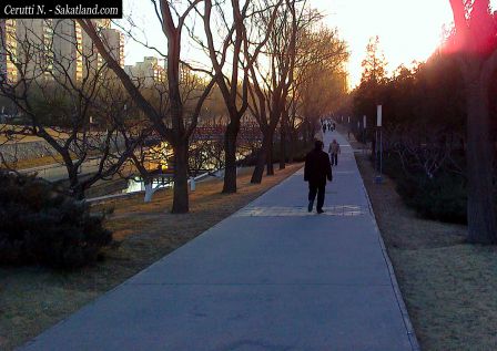 Beijing_Matin.jpg