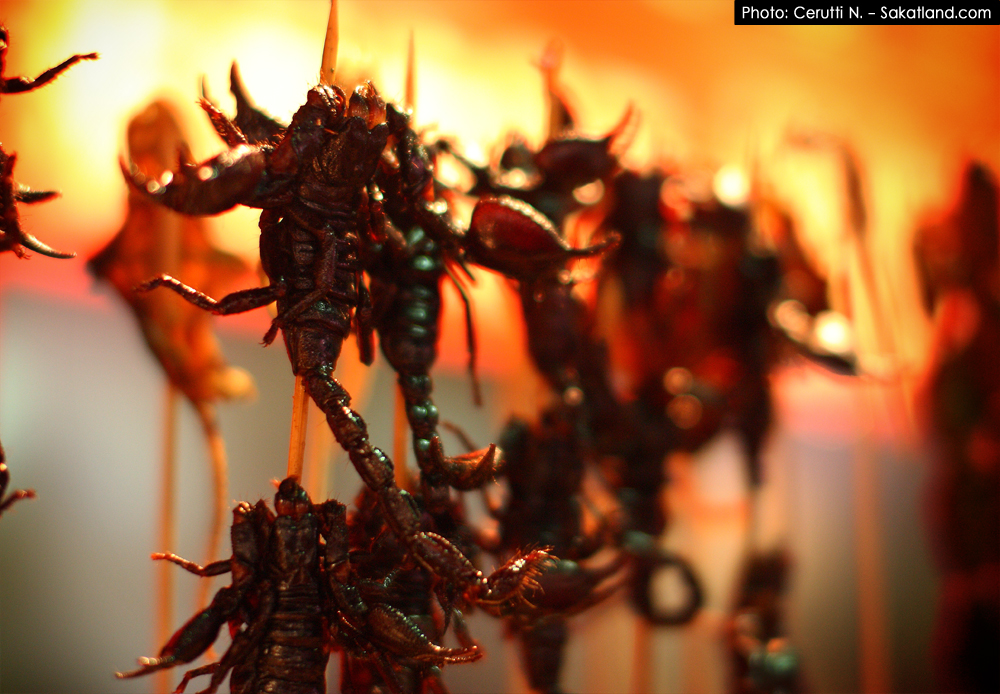 Donghuamen_Scorpions2.jpg