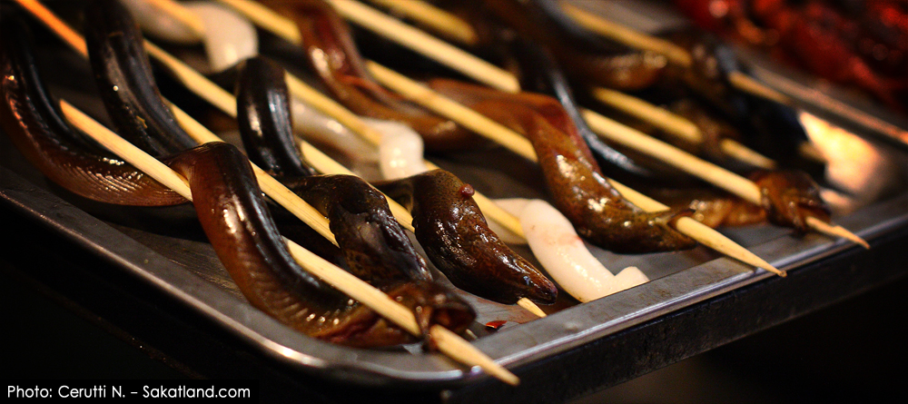 Donghuamen_Snake1.jpg