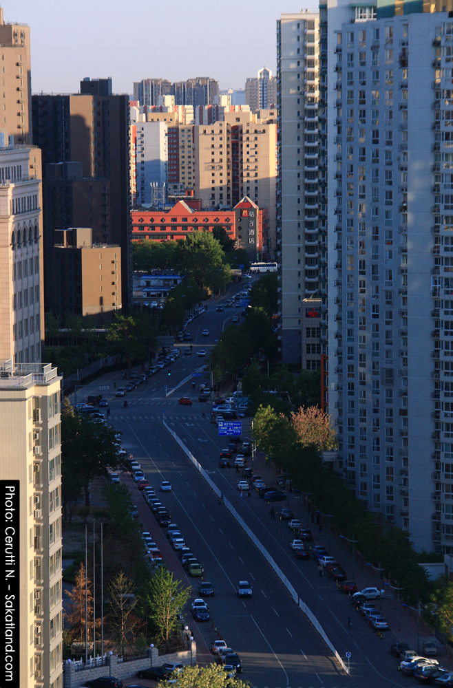 Beijing_Roof7.jpg