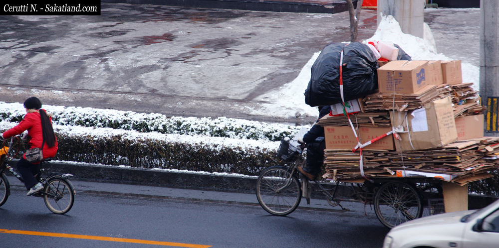 Snow_Carton.jpg