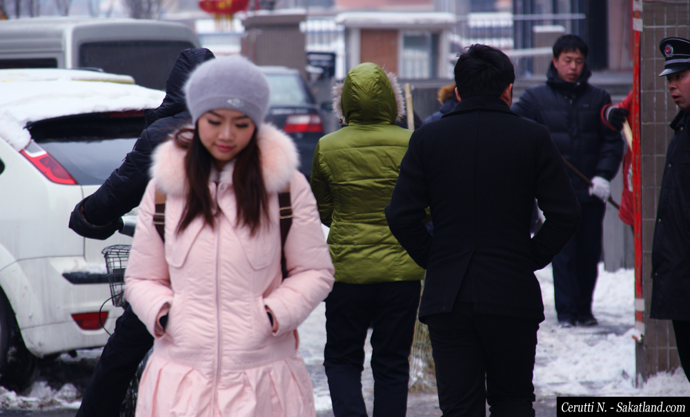 Snow_Street2.jpg
