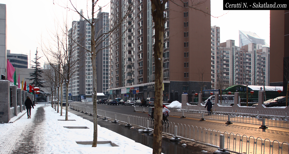 Snow_Street5.jpg