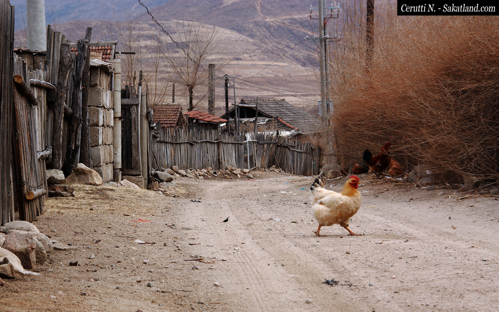 Village_Rush-hour.jpg