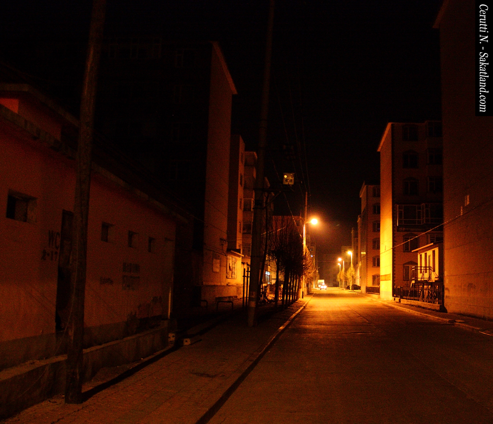Yanji-Longjing_Night.jpg