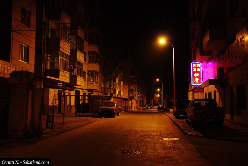 Yanji-Longjing_Night2.jpg