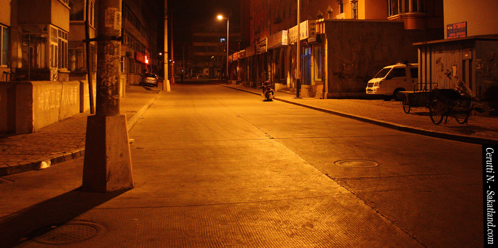 Yanji-Longjing_Night3.jpg