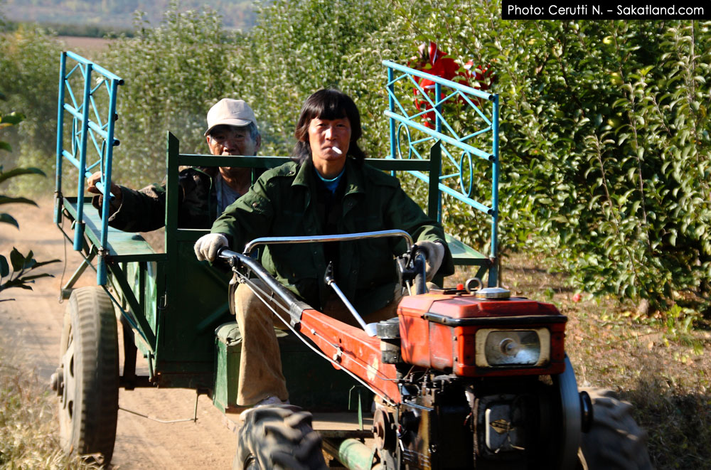 Tesso2_Pingguo_People1.jpg