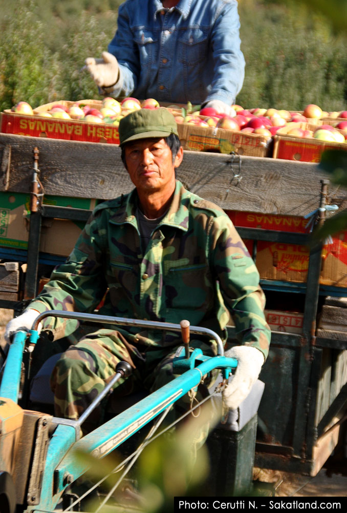 Tesso2_Pingguo_People2.jpg