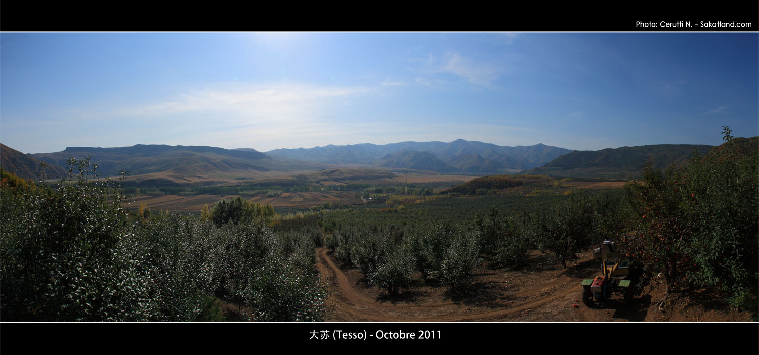 Tesso2_Various_Pano1.jpg