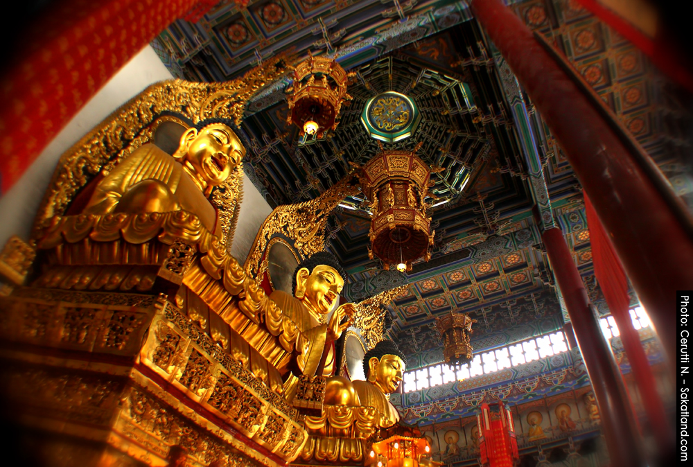 Jinshansi_Buddha4.jpg