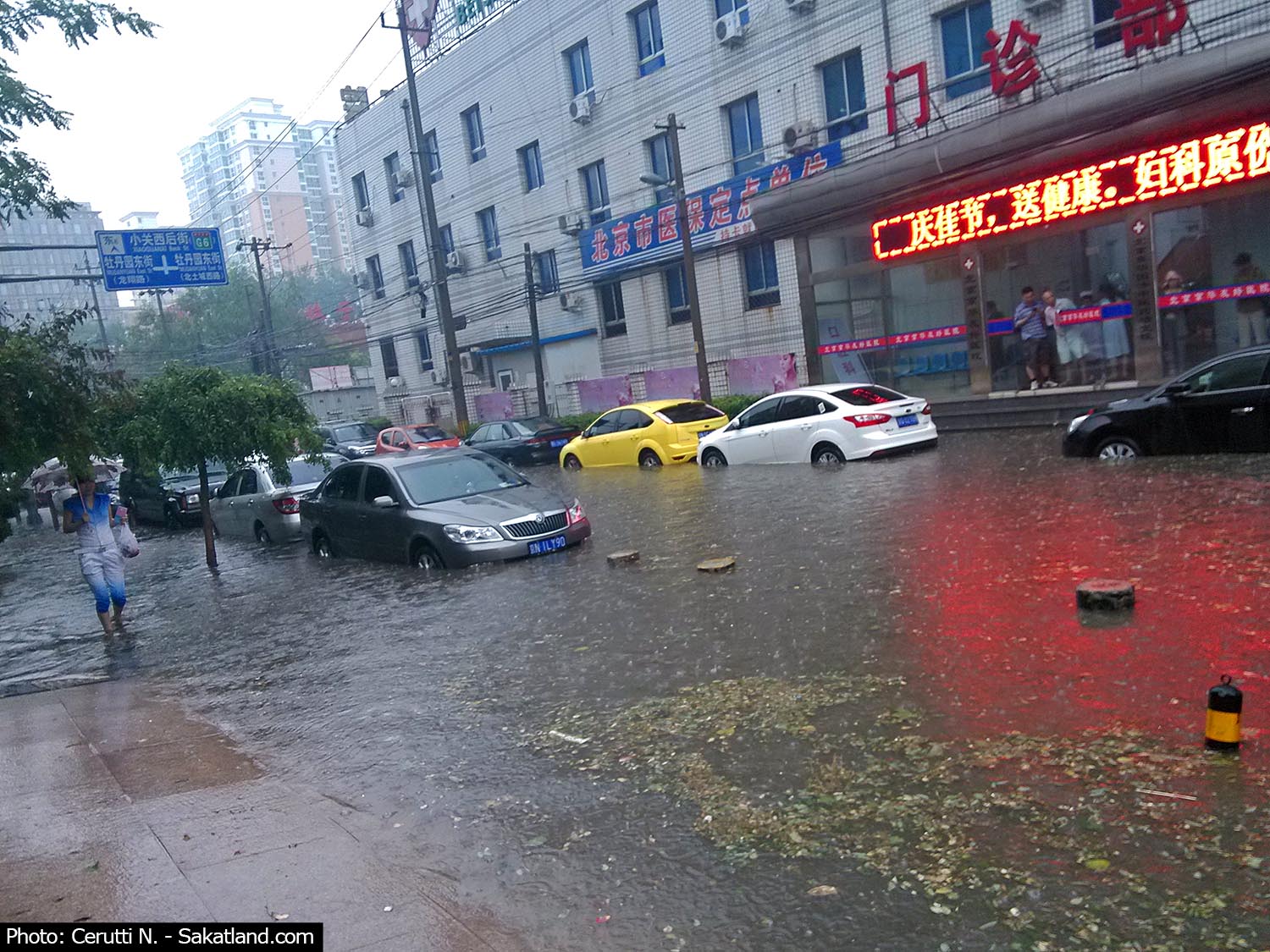 Baoyu3.jpg