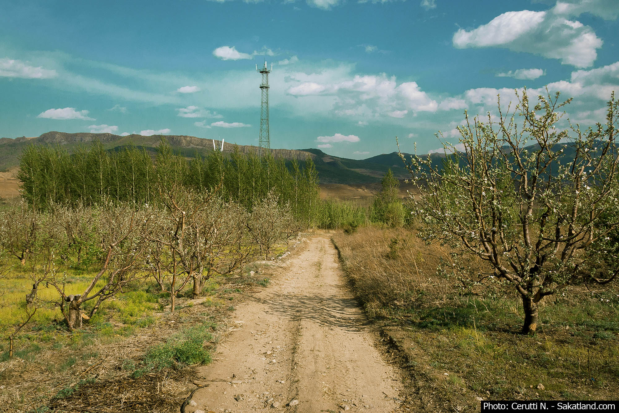 Landscape1.jpg