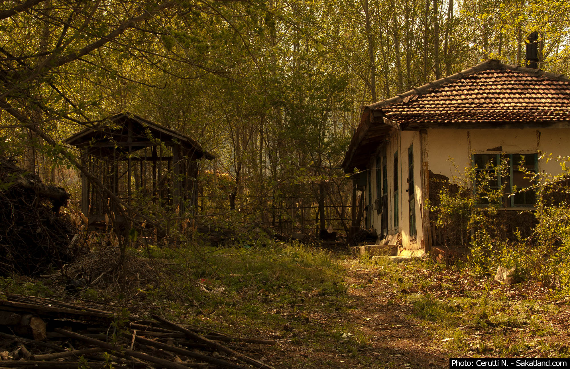 Village15.jpg