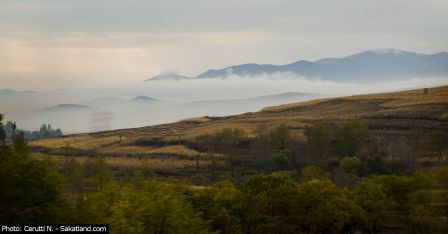 Landscape4.jpg