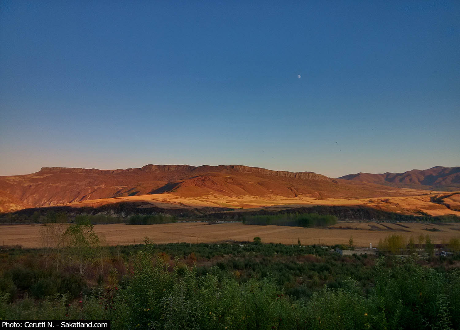Landscape1.jpg