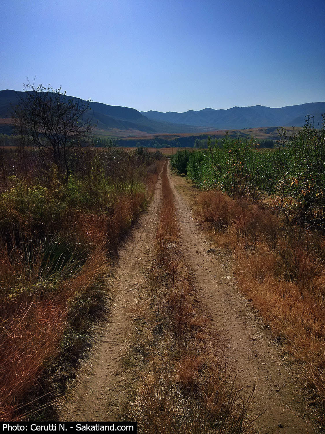 Landscape2.jpg