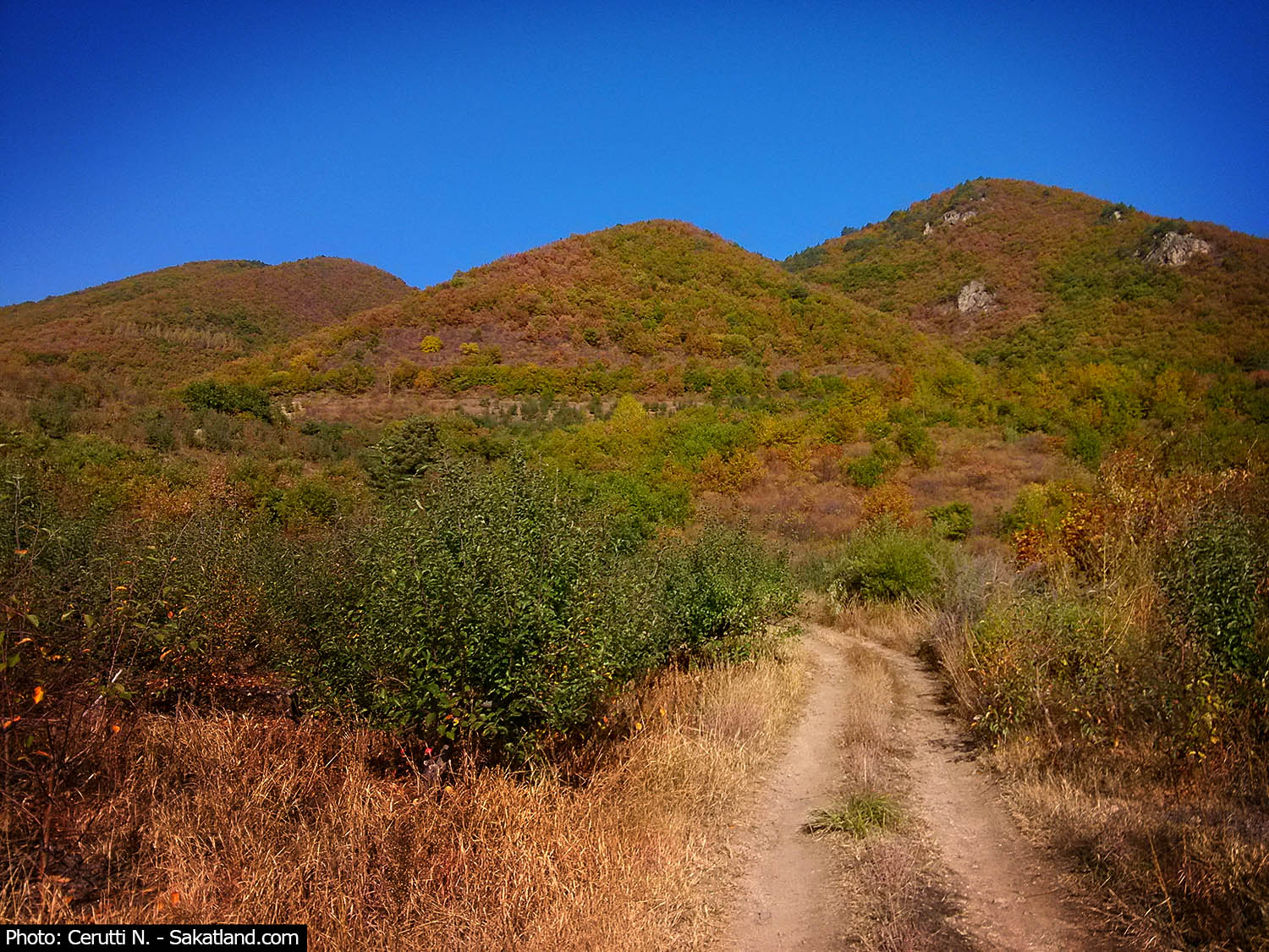 Landscape3.jpg