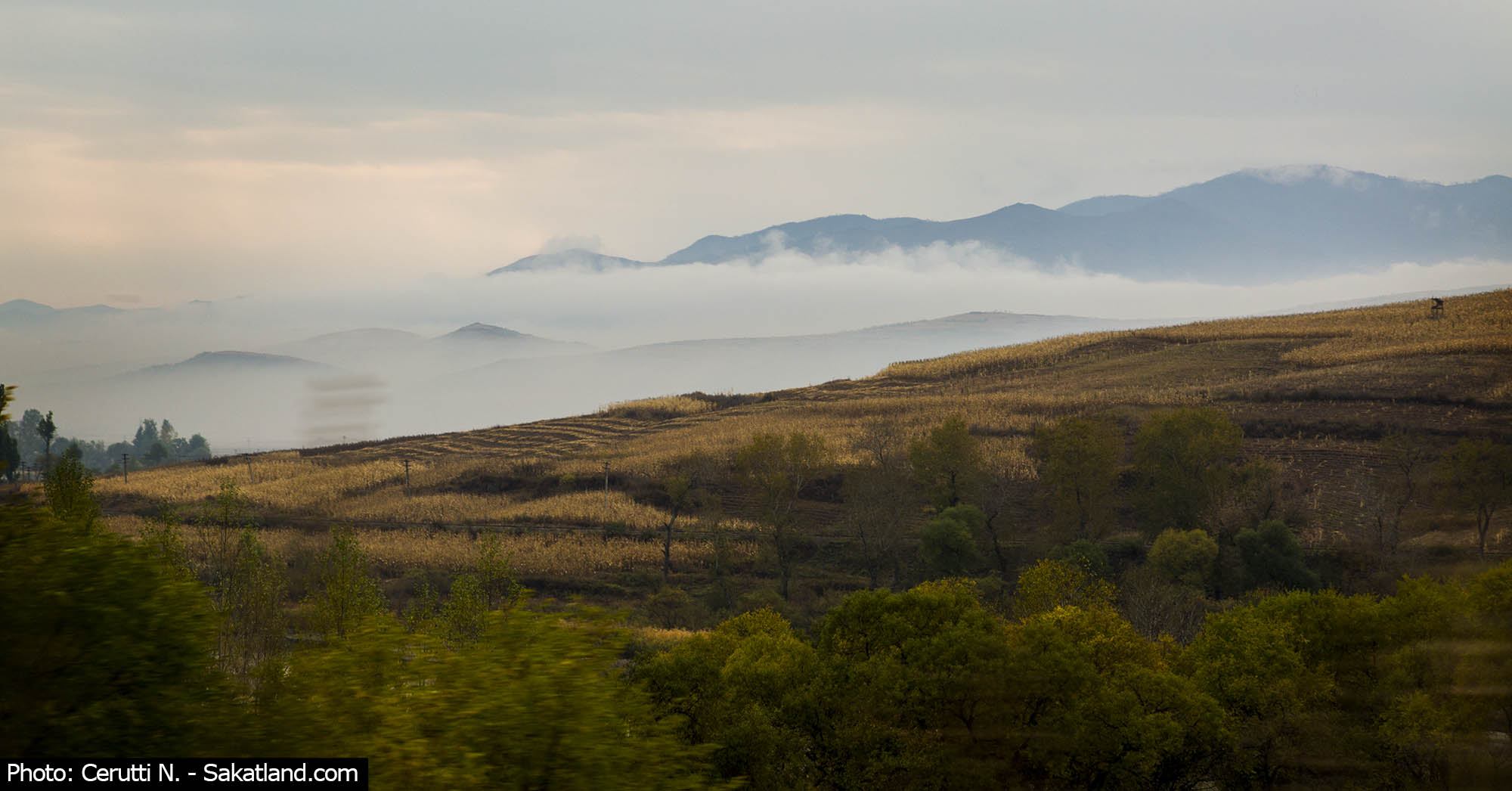 Landscape4.jpg