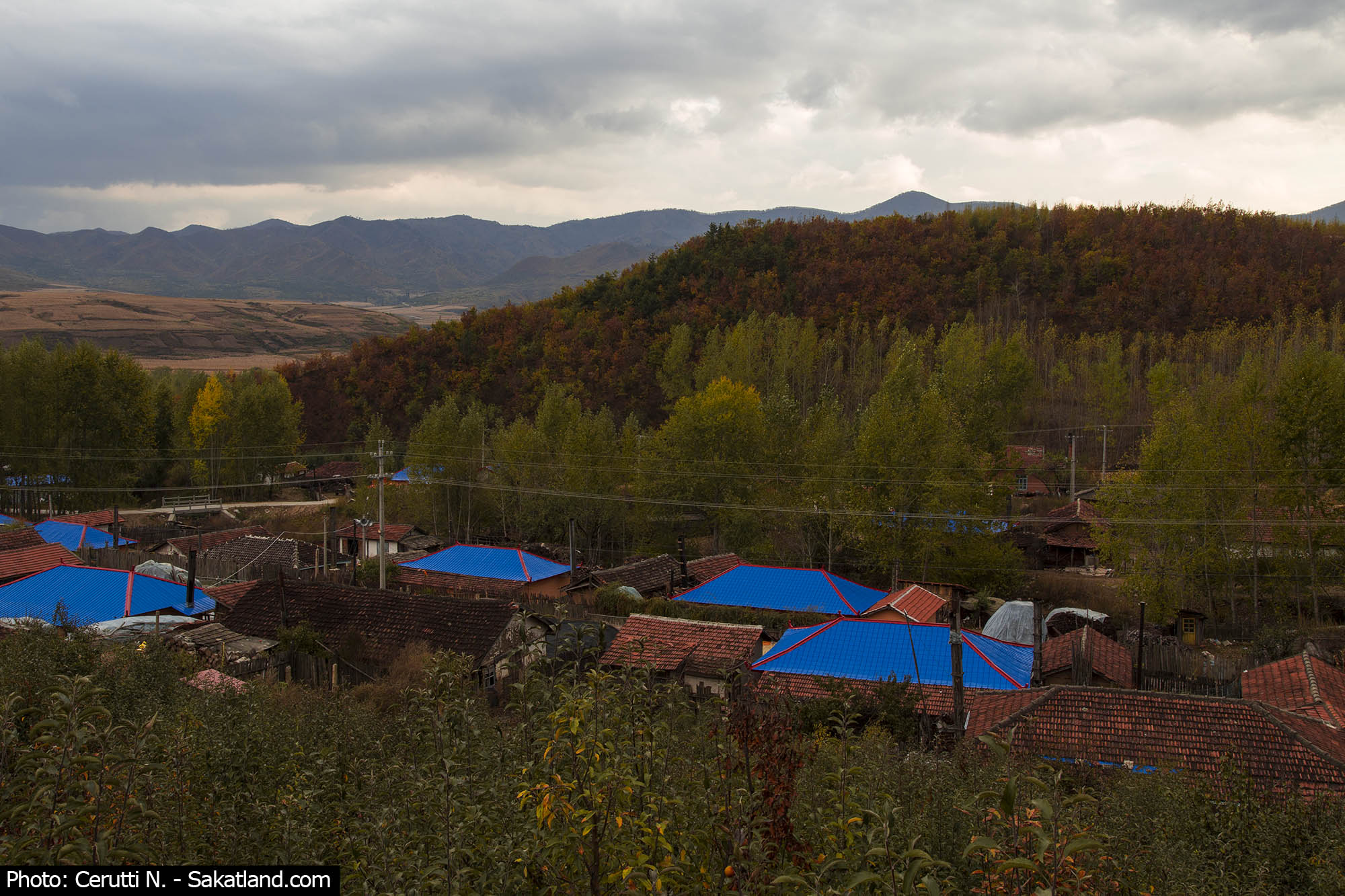 Landscape5.jpg