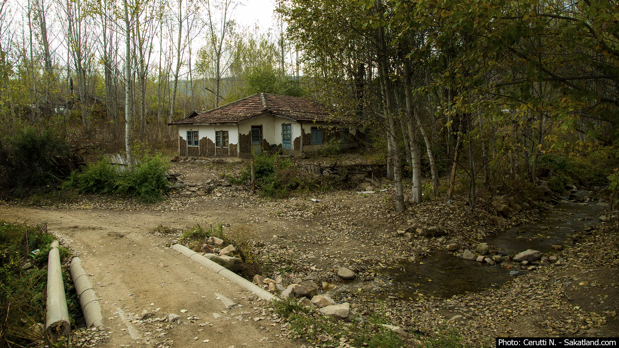 Landscape6.jpg
