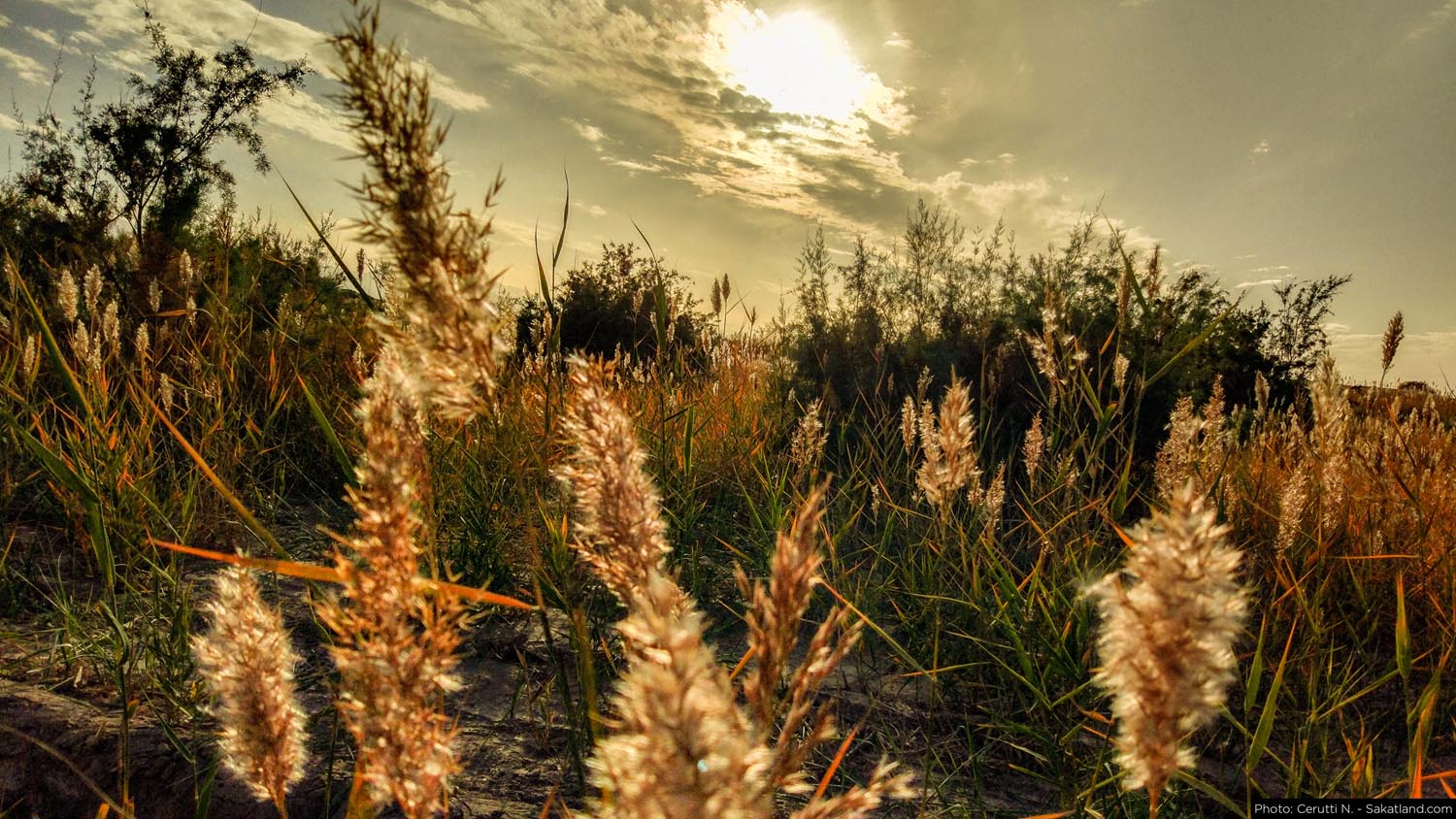 150H_Landscape_13.jpg