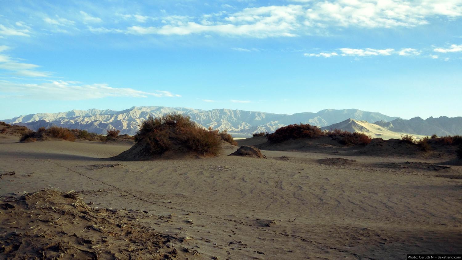 150H_Landscape_14.jpg