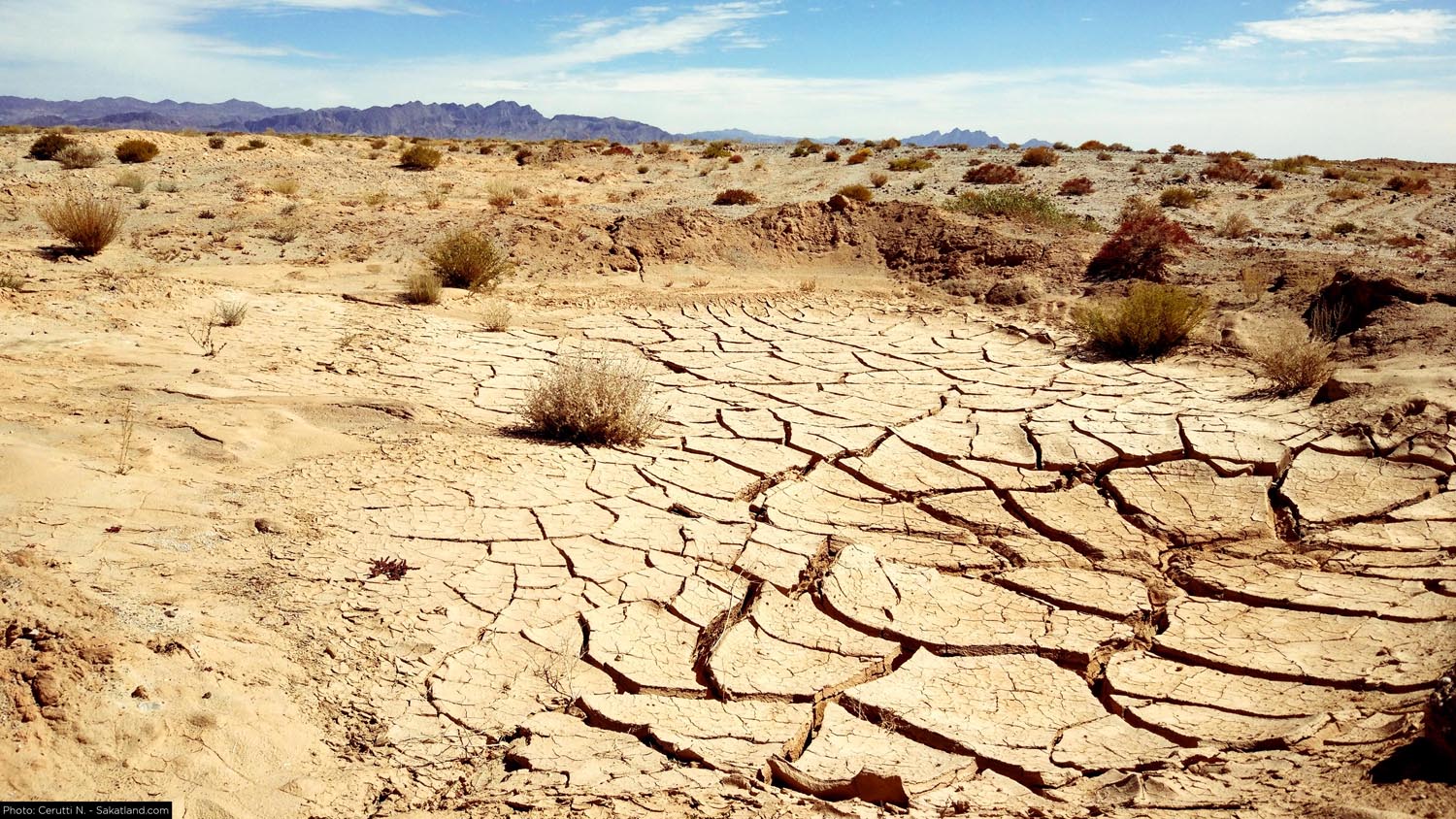150H_Landscape_15.jpg