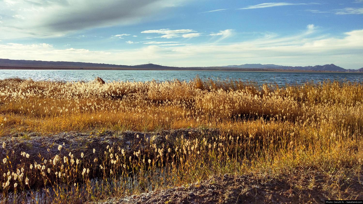 150H_Landscape_16.jpg