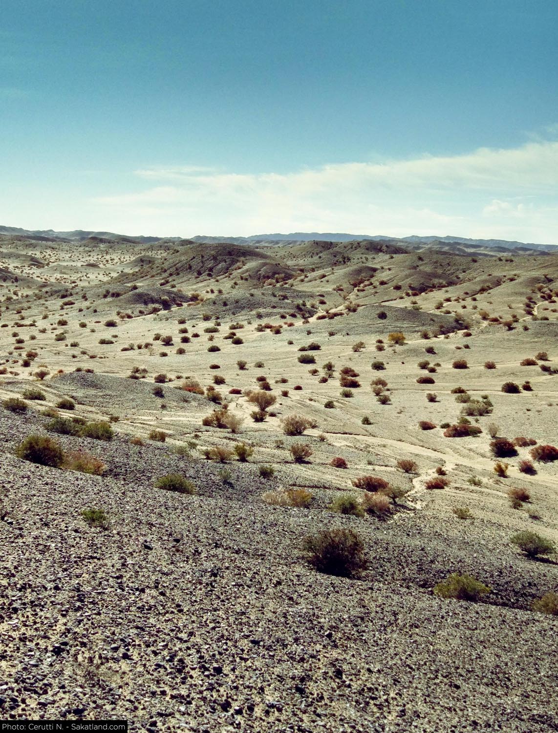 150H_Landscape_17.jpg