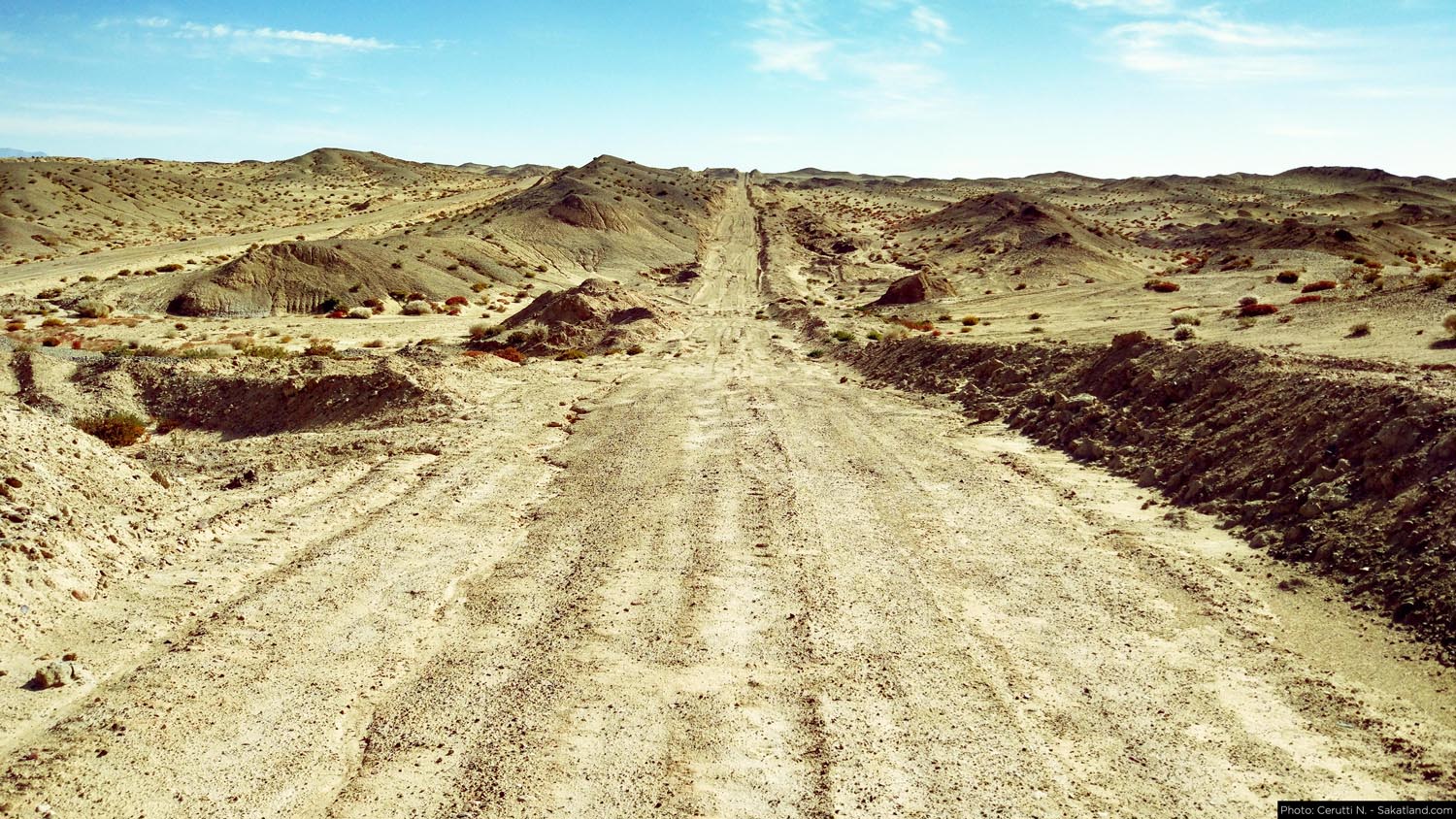 150H_Landscape_19.jpg