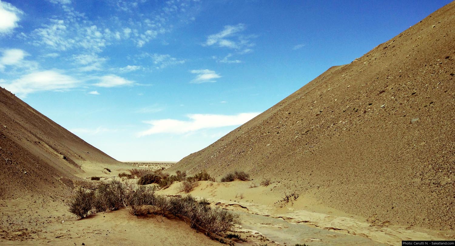 150H_Landscape_2.jpg