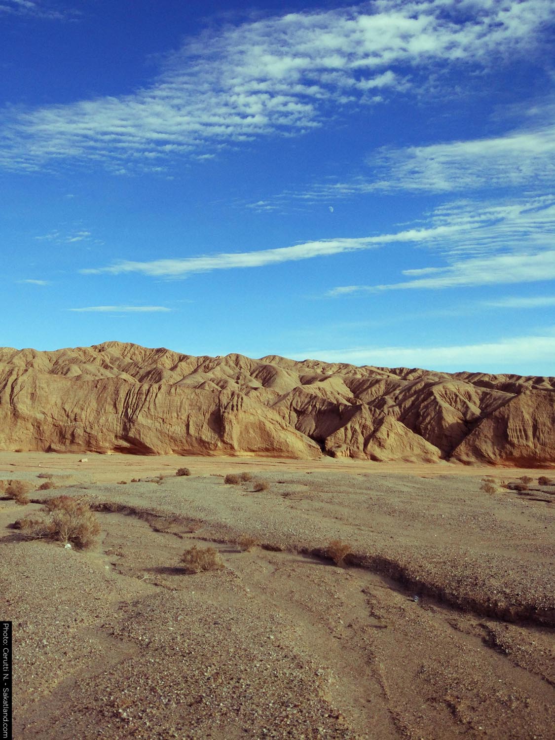 150H_Landscape_20.jpg