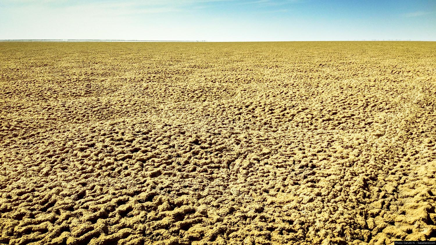 150H_Landscape_26.jpg