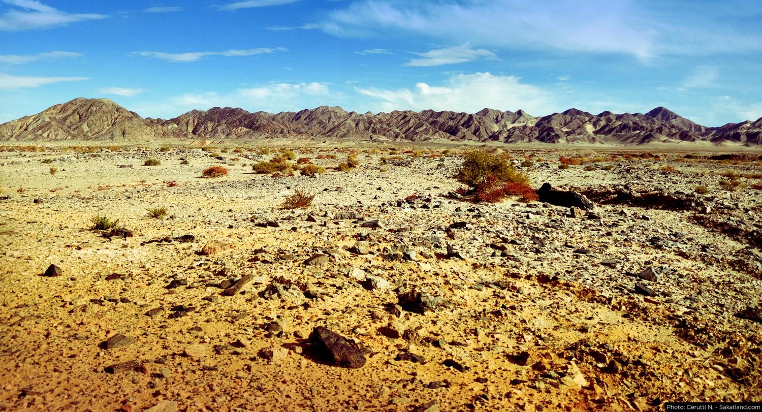 150H_Landscape_5.jpg