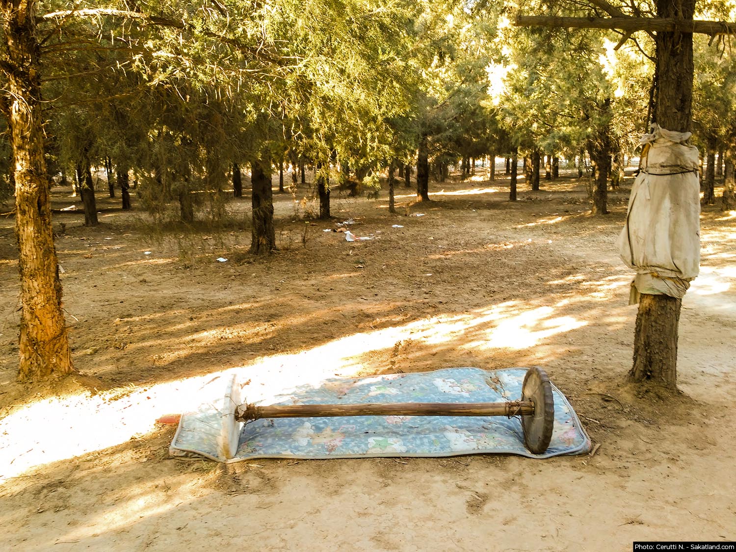 Outdoor_Gym_2.jpg