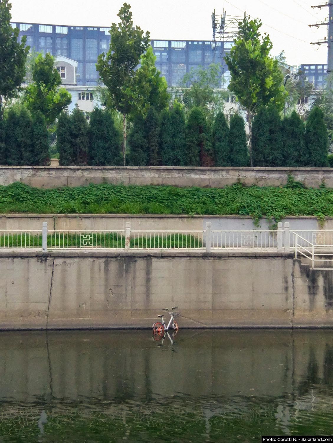 Velo_Alone2.jpg